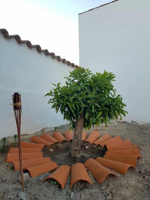 Casa Da Enxota Villa Povoa de Sao Miguel Dış mekan fotoğraf